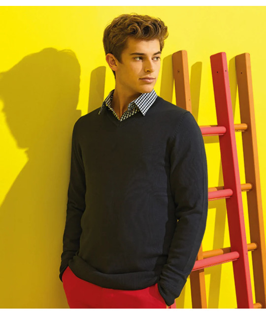 Asquith&Fox Men's cotton blend v-neck sweater