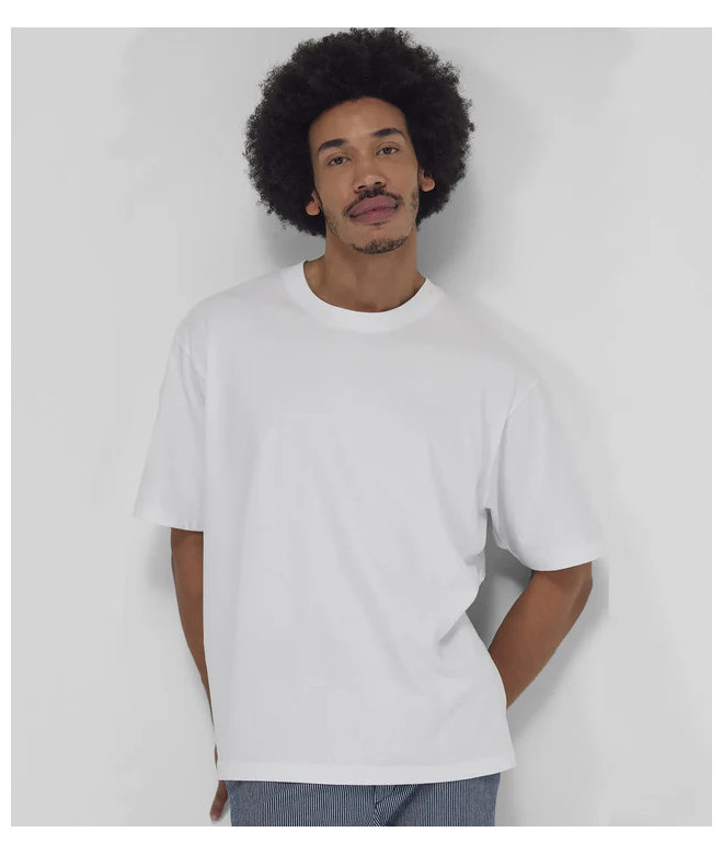 B&C  E220 Oversized