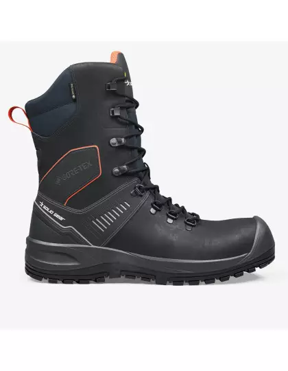 Ion GTX High