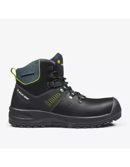 Ion Mid